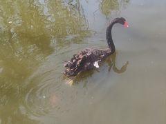 -石家庄市动物园