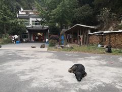 -途中饭店(开化店)