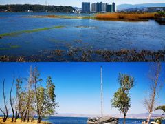 -洱海月湿地公园