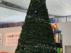 -哈尔滨热雪奇迹