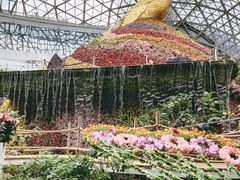 -花之城