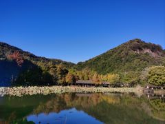 -八卦田遗址公园