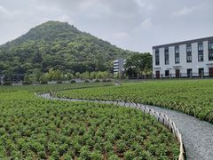 -浙江大学(玉泉校区)