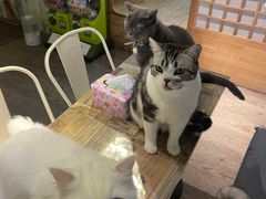 -小时光咖啡馆(开森度假森林店)