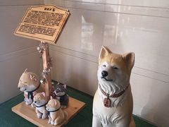 -大江户·温泉洗浴(浑南店)