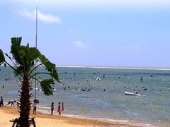 -碧海金沙