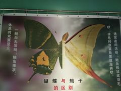 -上海昆虫博物馆