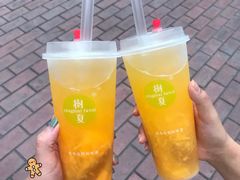 -树夏(建设路店)