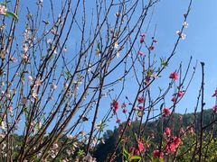 -水濂山森林公园