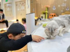 -COLOR PETS 撸猫馆·购猫·猫咖(长风大悦城店)