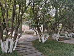 -八大山人梅湖景区
