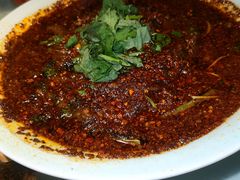 -院8里·小聚园老川菜(九眼桥店)