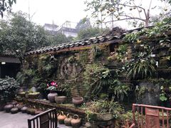 -青城甲(青城山店)