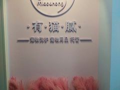 -喵宠乐园·撸猫互动·猫舍