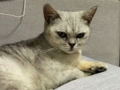 -爱诺耐芙动物医院(万博店)