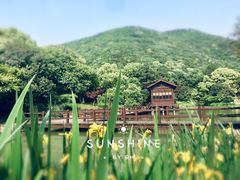 -宝岩生态观光园