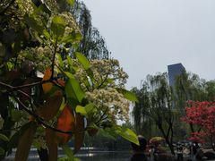 -后襄河公园