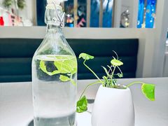 -春树下·树屋花房西餐厅(罍街AS1980店)