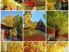 -国家植物园