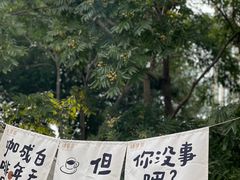 -陆家嘴中心绿地