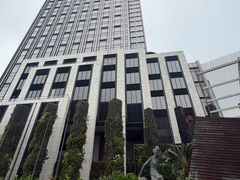 -星光大道