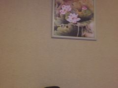 -苏沐堂全息足浴·SPA·按摩(万科美好广场店)
