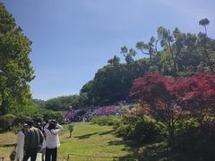 -苏州上方山国家森林公园