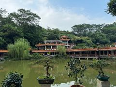 -深圳仙湖植物园