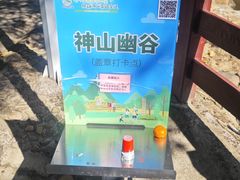 -广州白江湖森林公园