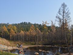 -五营红松林海景区