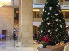 -成都天府丽都喜来登饭店