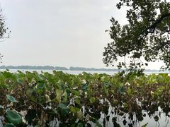 -郭庄茶室