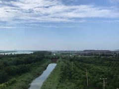 -奈雪的茶(印象城店)