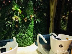 -V-STAR威斯达•高级私人定制