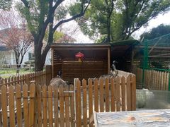 -鹅湖玫瑰文化园