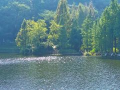 -重庆彩云湖湿地公园