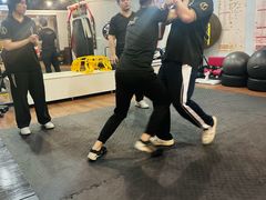 -温鉴良实用咏春拳