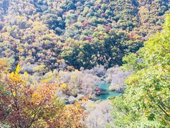 -叠溪松坪沟景区