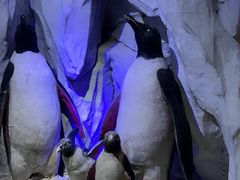 -太平洋海底世界