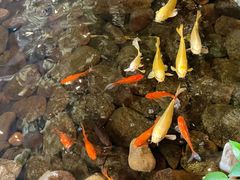 -山有花啡餐厅(常营总店)