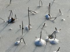 -天津东丽湖风景区