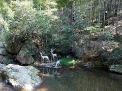 景点-众神白水涧景区