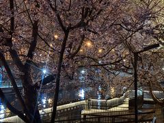 -安定门(地铁站)