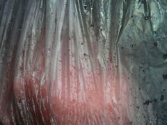 android_upload_pic-定胜糕小店-蒋顺发