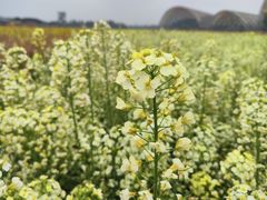 -中国天府农业博览园