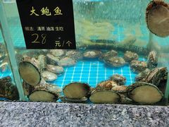 -渔码头食府(蓬莱阁店)