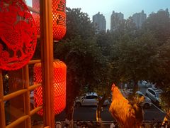 -弓虽昌焖烧鸡(大竹林店)
