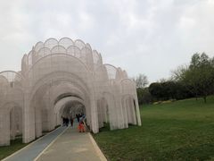 -渤公岛生态公园