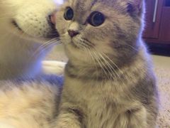 iphone_upload_pic-Mammamia意大利餐厅(阳春巷店)