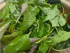 -黔府豆米火锅野菜馆(南马店)